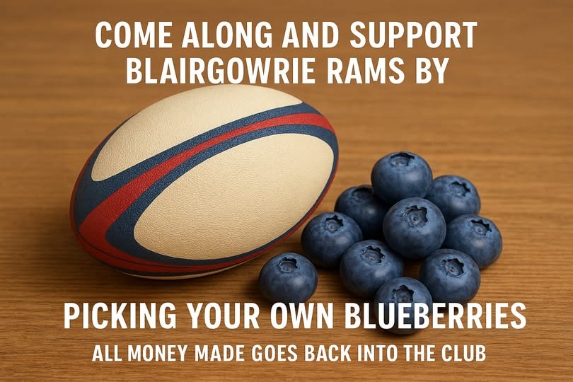 Blairgowrie RAMS Fundraiser - Pick your own Blueberries